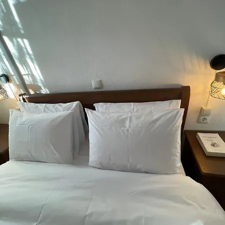 别墅 Hill 特里卡拉